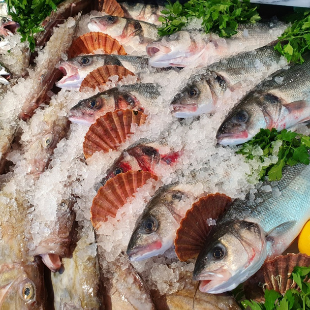 e hook gallery image