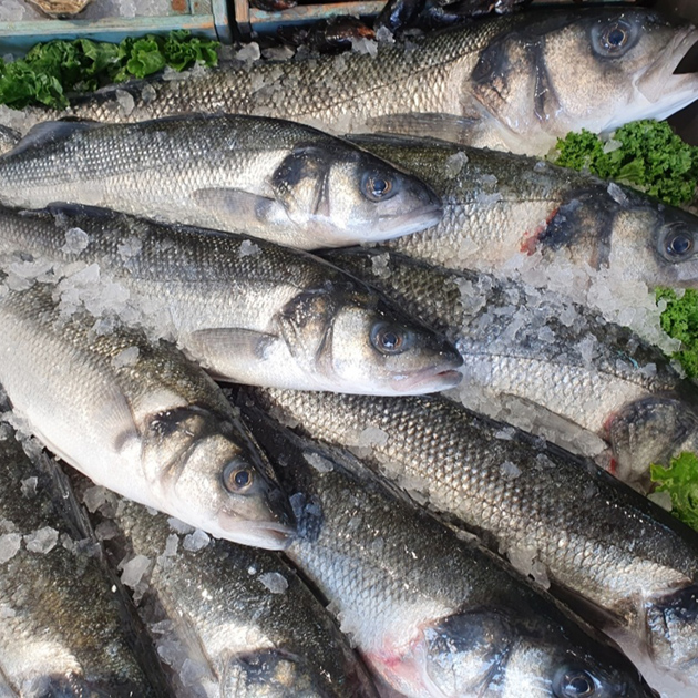 e hook gallery image