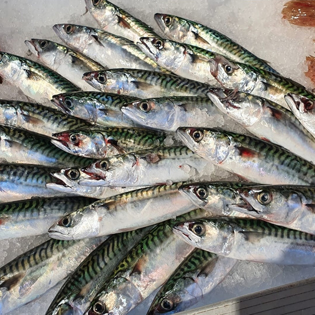 e hook gallery image